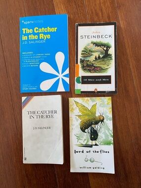 SparkNotes The Catcher in the Rye - Bright Blue Cover